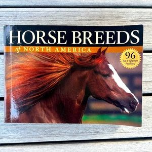 Collection of Horse Books